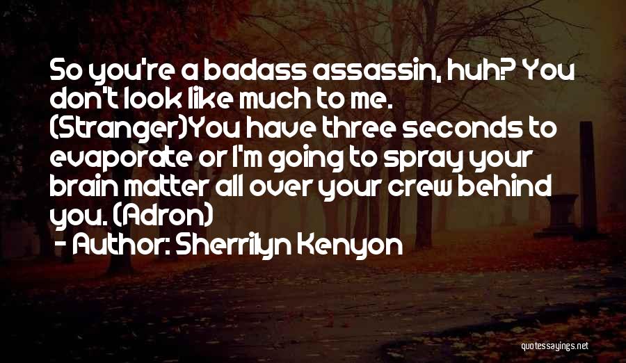 Assassin Quotes By Sherrilyn Kenyon