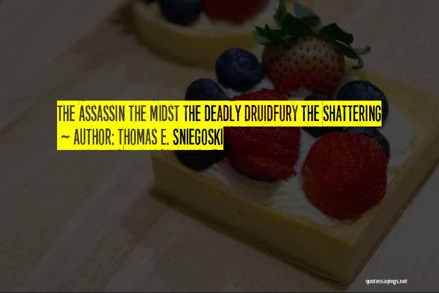 Assassin Quotes By Thomas E. Sniegoski