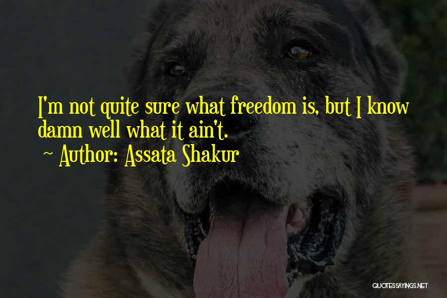 Assata Shakur Quotes 1765897