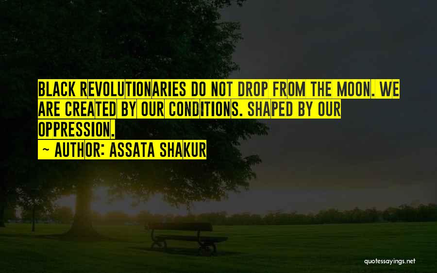 Assata Shakur Quotes 414961