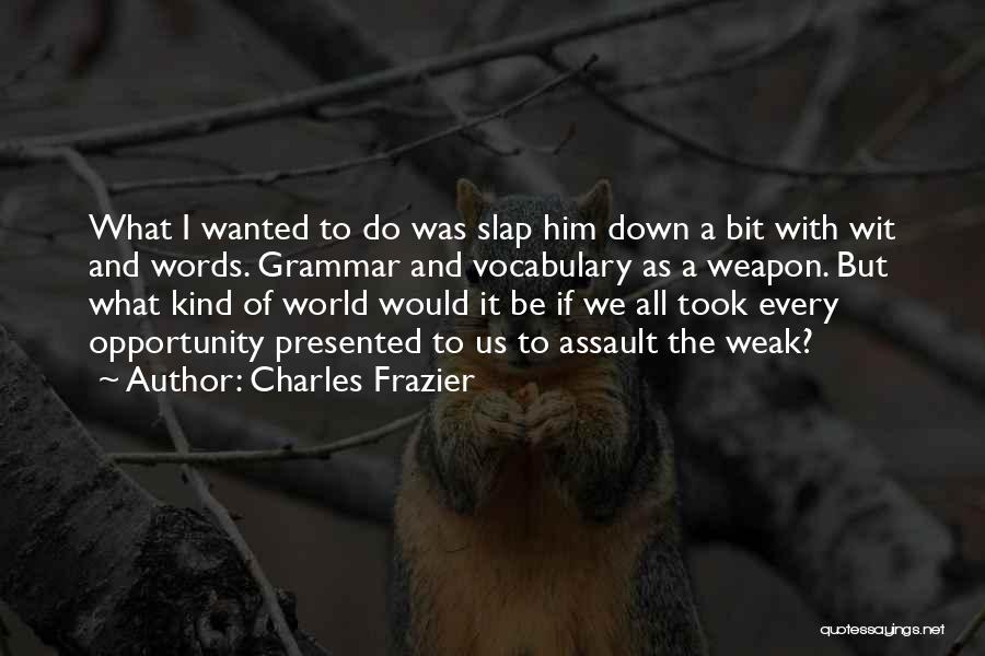 Assault Weapon Quotes By Charles Frazier