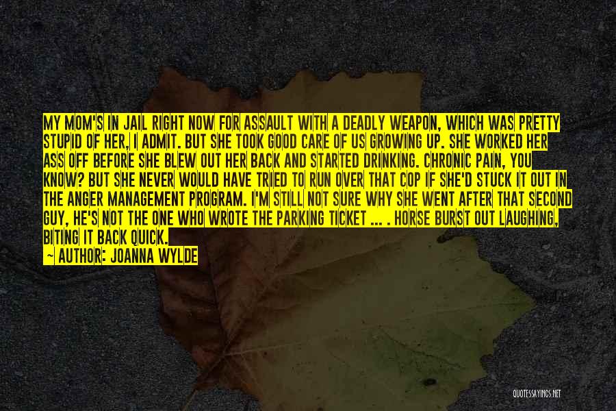 Assault Weapon Quotes By Joanna Wylde