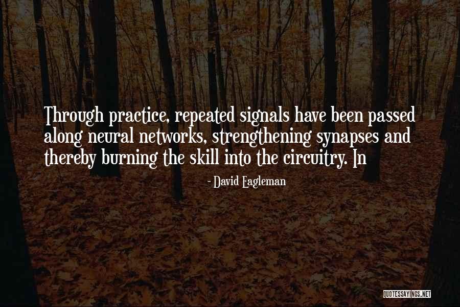Assays Biology Quotes By David Eagleman Assays Biology Quotes By David Eagleman
