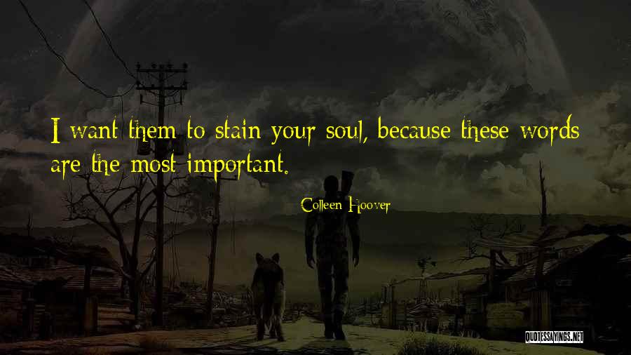 Assclown Quotes By Colleen Hoover Assclown Quotes By Colleen Hoover