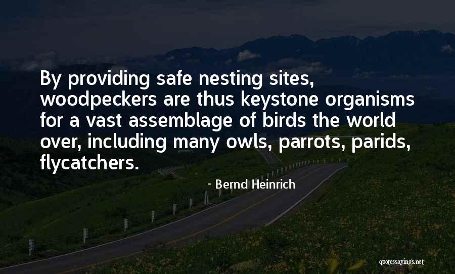 Assemblage Quotes By Bernd Heinrich Assemblage Quotes By Bernd Heinrich