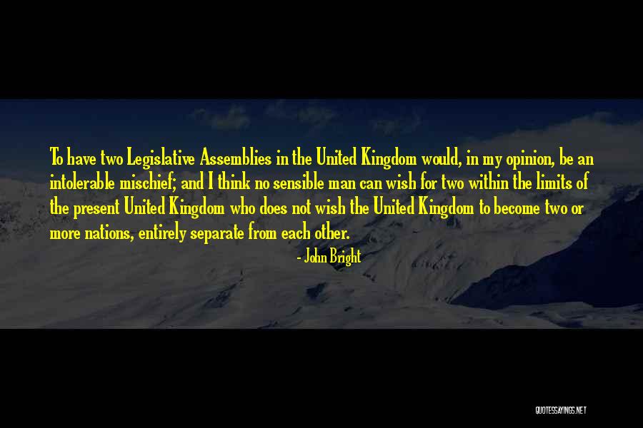 Assemblies Quotes By John Bright