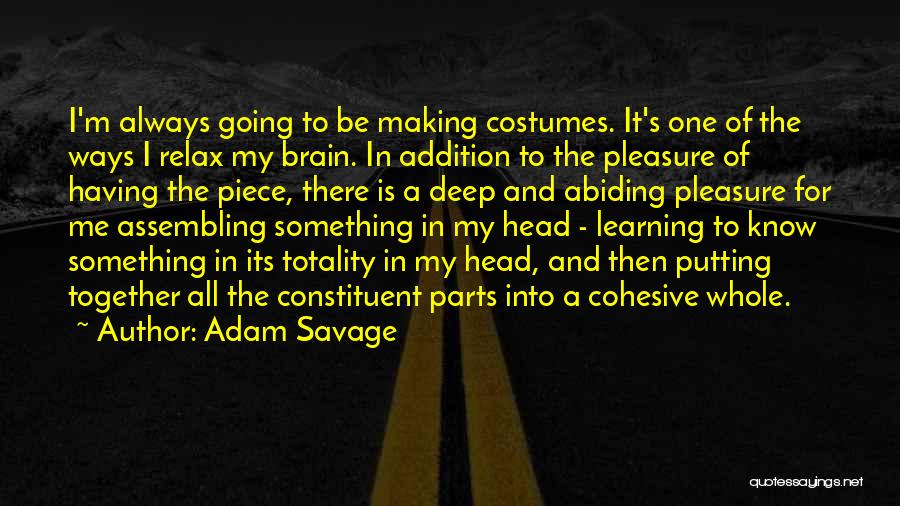 Assembling Quotes By Adam Savage