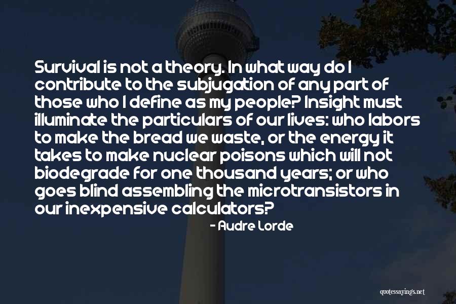 Assembling Quotes By Audre Lorde