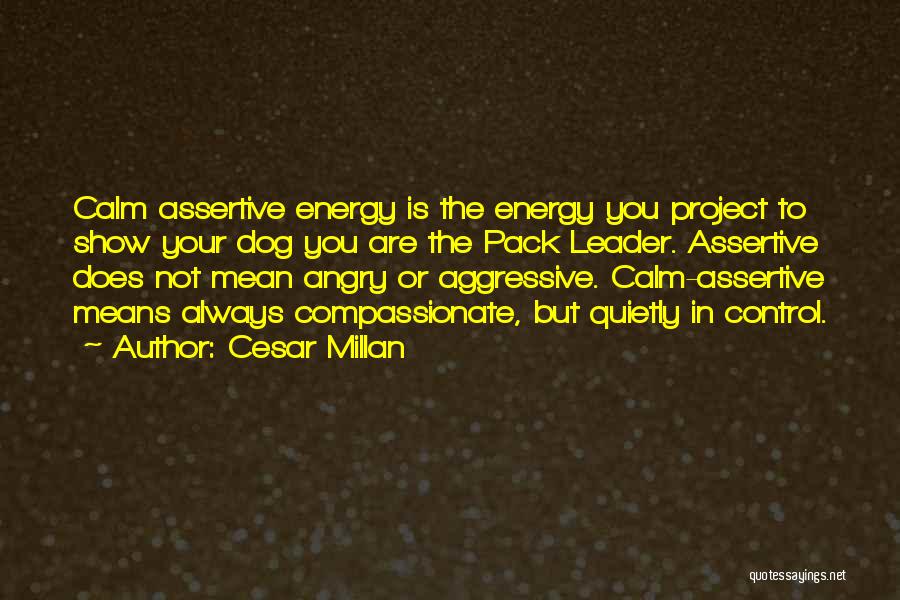 Assertive Quotes By Cesar Millan