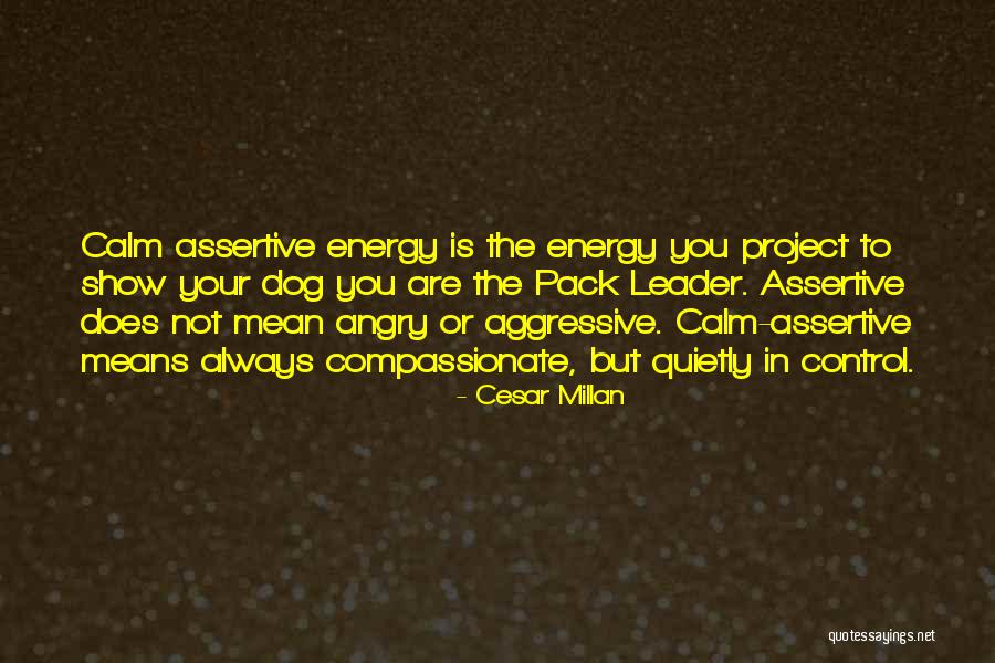 Assertive Quotes By Cesar Millan Assertive Quotes By Cesar Millan