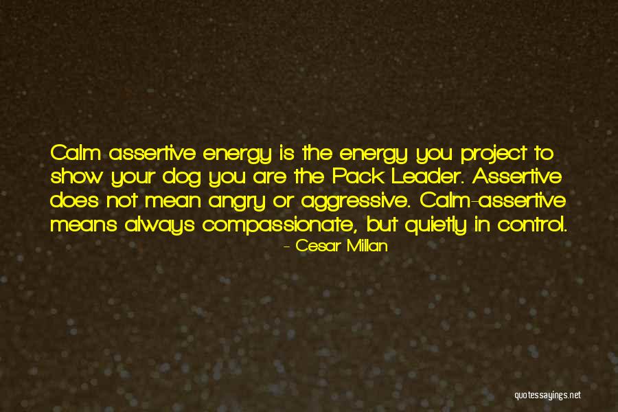 Assertive Quotes By Cesar Millan