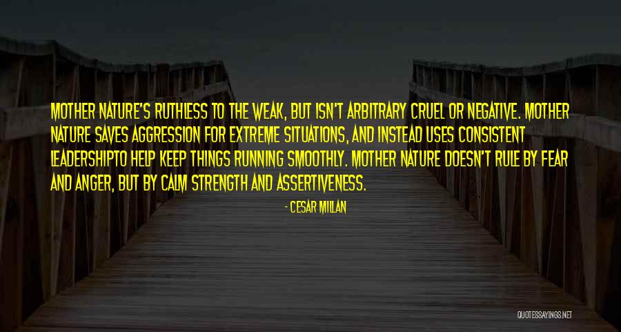 Assertiveness Quotes By Cesar Millan Assertiveness Quotes By Cesar Millan
