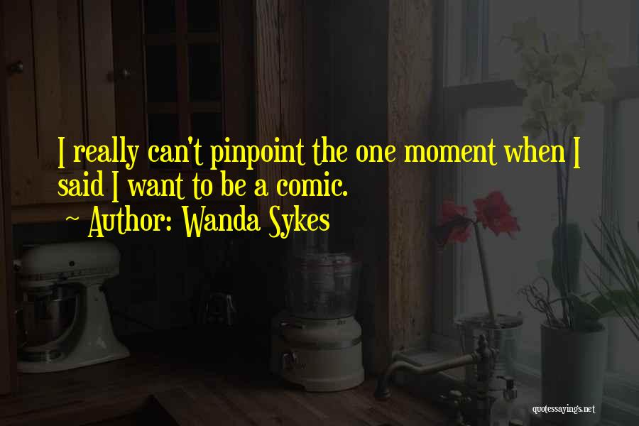 Assimilates Quotes By Wanda Sykes