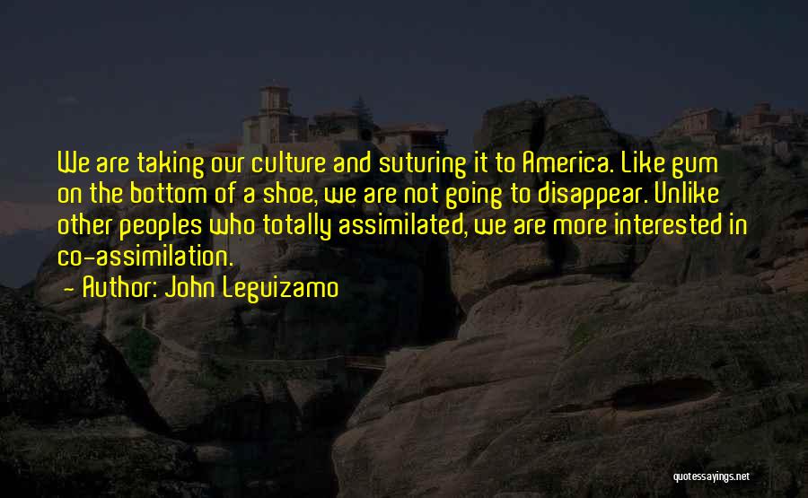 Assimilation In America Quotes By John Leguizamo