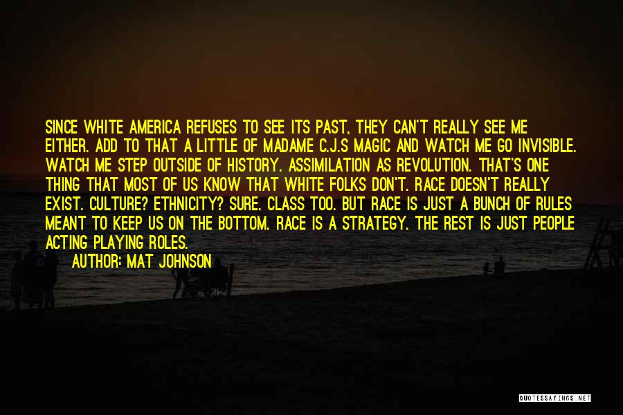 Assimilation In America Quotes By Mat Johnson