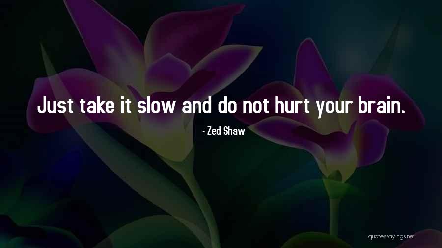 Assist America Quotes By Zed Shaw Assist America Quotes By Zed Shaw