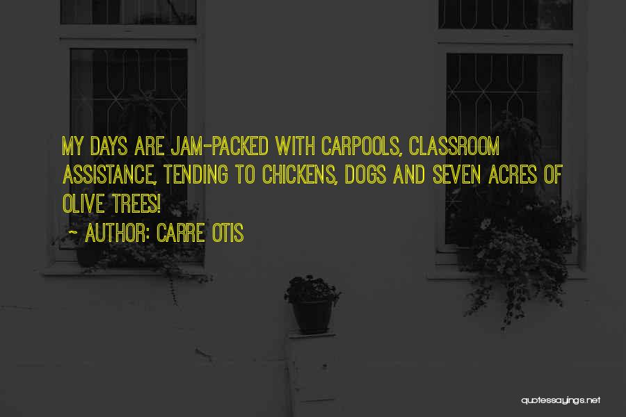 Assistance Dogs Quotes By Carre Otis