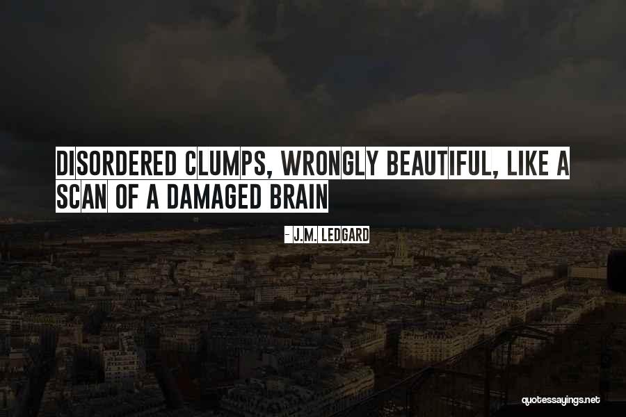 Assistenza Aruba Quotes By J.M. Ledgard Assistenza Aruba Quotes By J.M. Ledgard