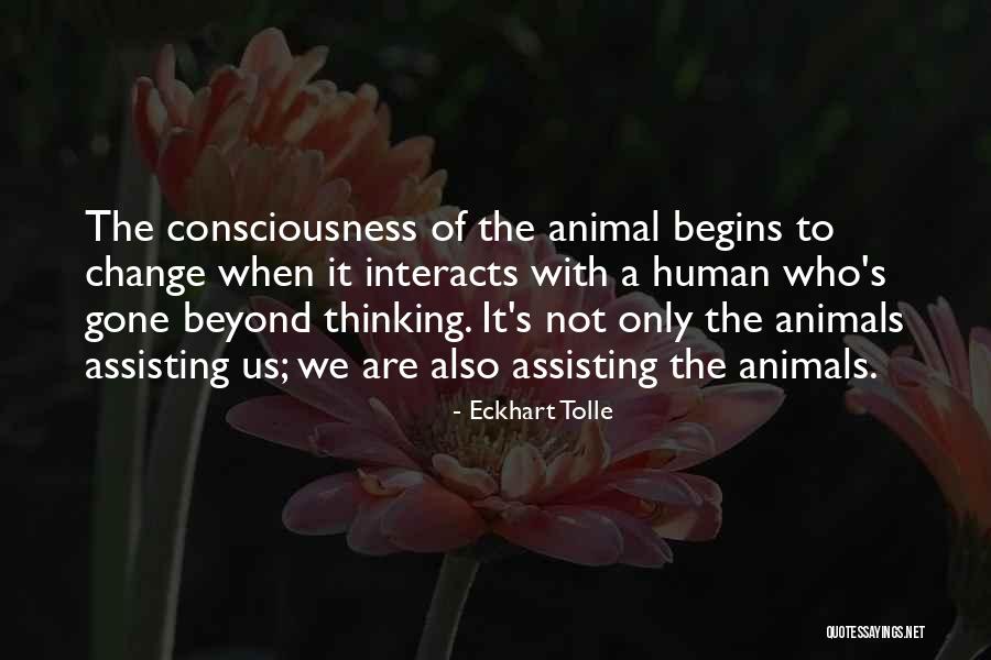 Assisting Quotes By Eckhart Tolle Assisting Quotes By Eckhart Tolle