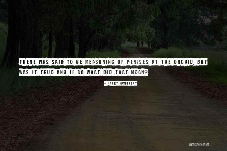 Assoalho Da Quotes By Larry McMurtry Assoalho Da Quotes By Larry McMurtry