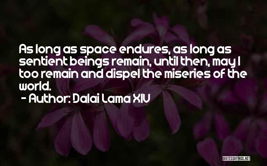 Assoiffes Quotes By Dalai Lama XIV