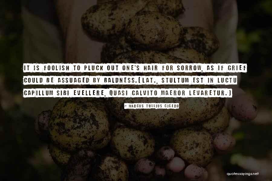 Assuaged Quotes By Marcus Tullius Cicero Assuaged Quotes By Marcus Tullius Cicero