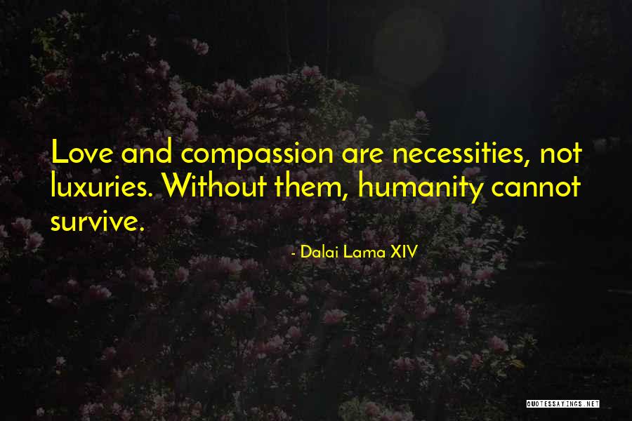 Assunta De Rossi Quotes By Dalai Lama XIV Assunta De Rossi Quotes By Dalai Lama XIV