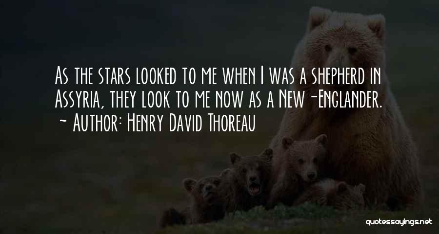 Assyria Quotes By Henry David Thoreau