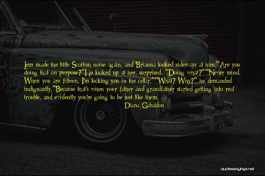 Asterisks Quotes By Diana Gabaldon Asterisks Quotes By Diana Gabaldon