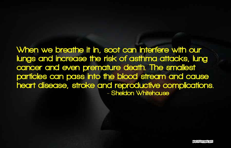 Asthma Attacks Quotes By Sheldon Whitehouse