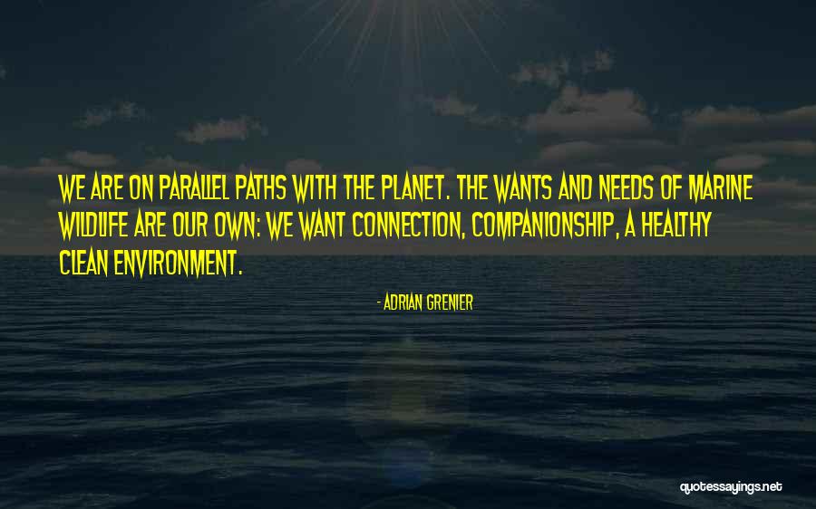 Astia Ellinika Quotes By Adrian Grenier Astia Ellinika Quotes By Adrian Grenier
