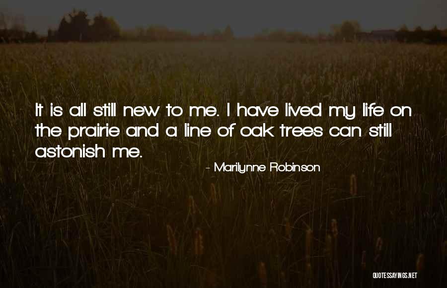 Astonish Quotes By Marilynne Robinson Astonish Quotes By Marilynne Robinson