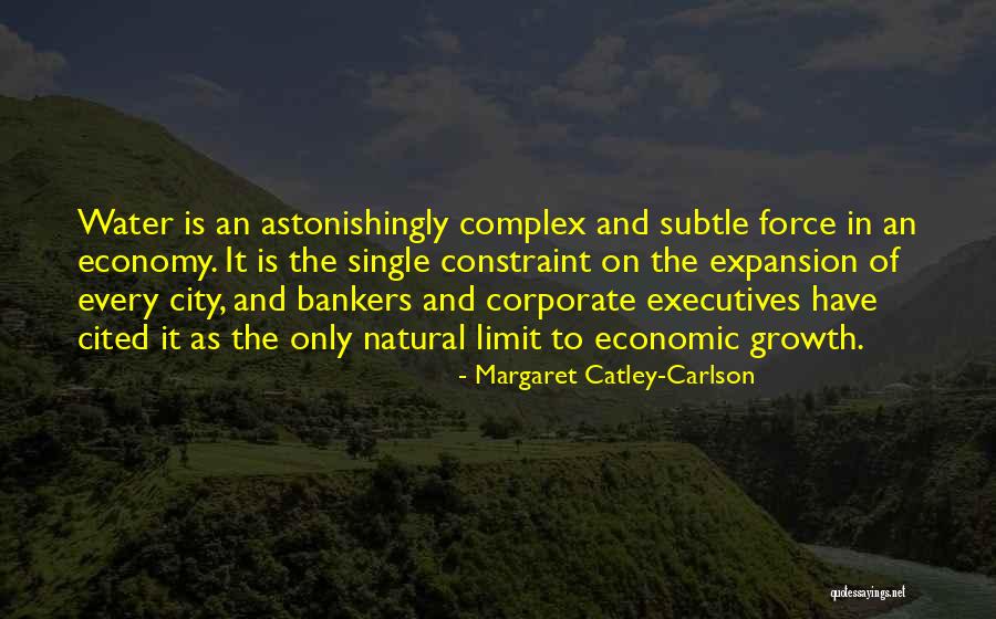 Astonishingly Quotes By Margaret Catley-Carlson Astonishingly Quotes By Margaret Catley-Carlson