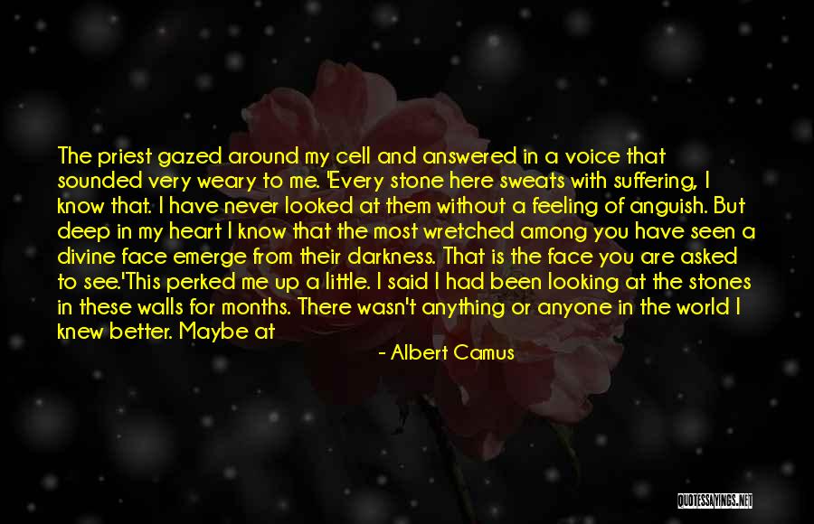 Astonishment Define Quotes By Albert Camus Astonishment Define Quotes By Albert Camus