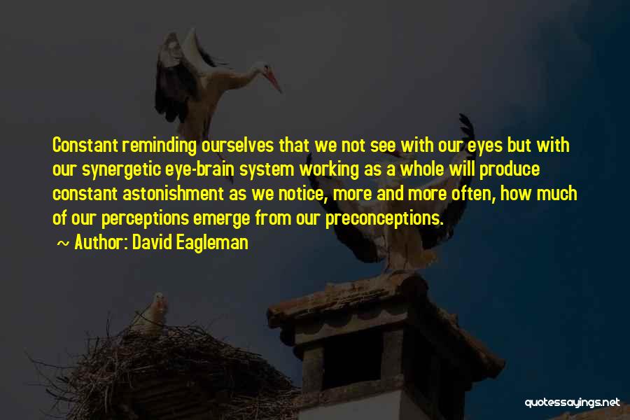 Astonishment Quotes By David Eagleman