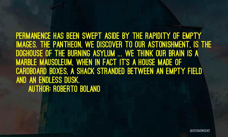 Astonishment Quotes By Roberto Bolano