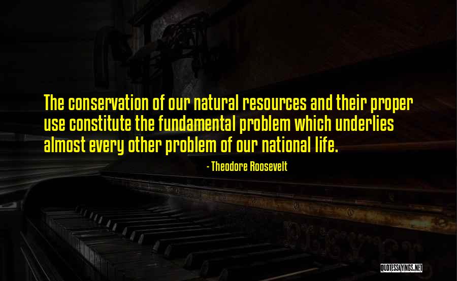 Astrelle Shoes Quotes By Theodore Roosevelt Astrelle Shoes Quotes By Theodore Roosevelt