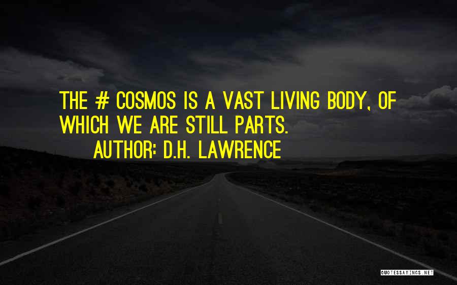 Astrology Quotes By D.H. Lawrence