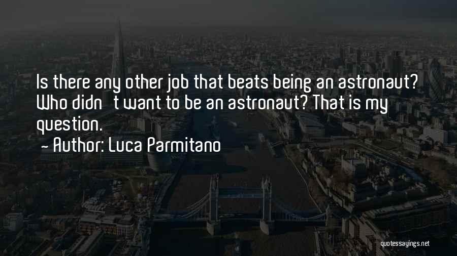 Astronaut Quotes By Luca Parmitano