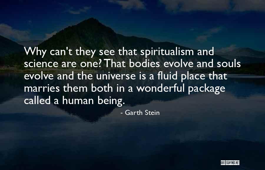 Asturias Cebu Quotes By Garth Stein Asturias Cebu Quotes By Garth Stein