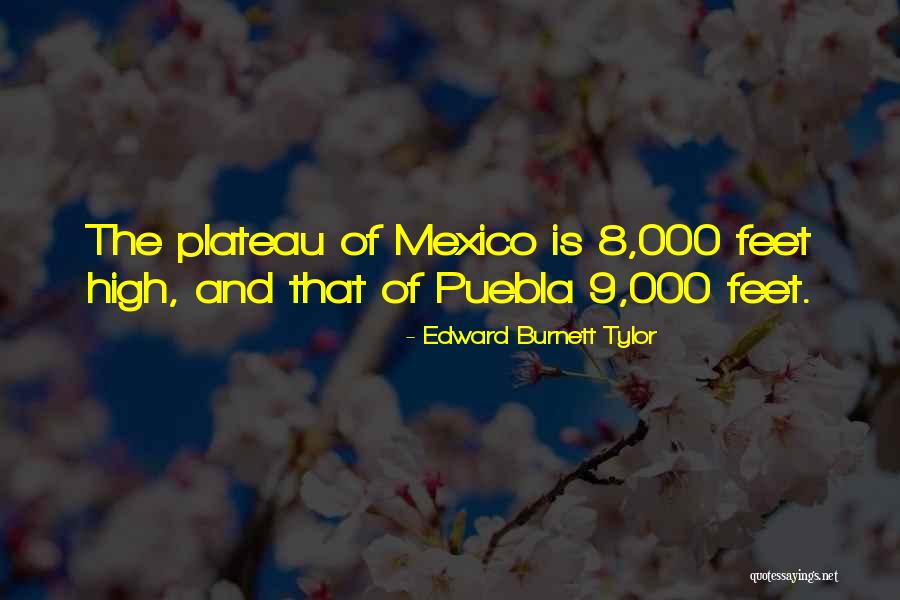 Astuto Significado Quotes By Edward Burnett Tylor Astuto Significado Quotes By Edward Burnett Tylor