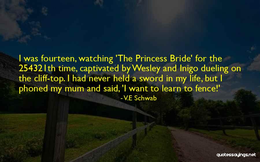 Aswan Dam Quotes By V.E Schwab Aswan Dam Quotes By V.E Schwab