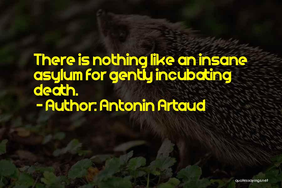 Asylums Quotes By Antonin Artaud