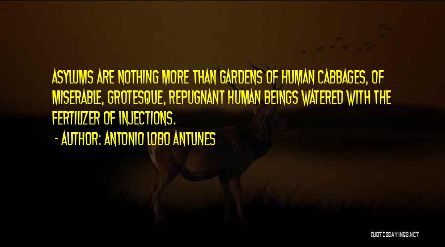 Asylums Quotes By Antonio Lobo Antunes