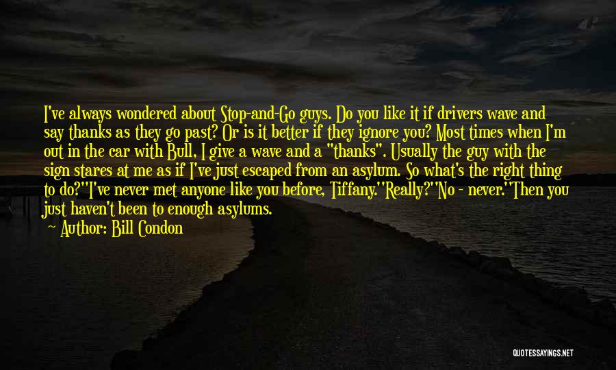 Asylums Quotes By Bill Condon