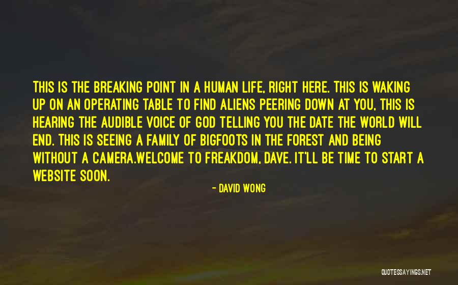 At A Breaking Point Quotes By David Wong