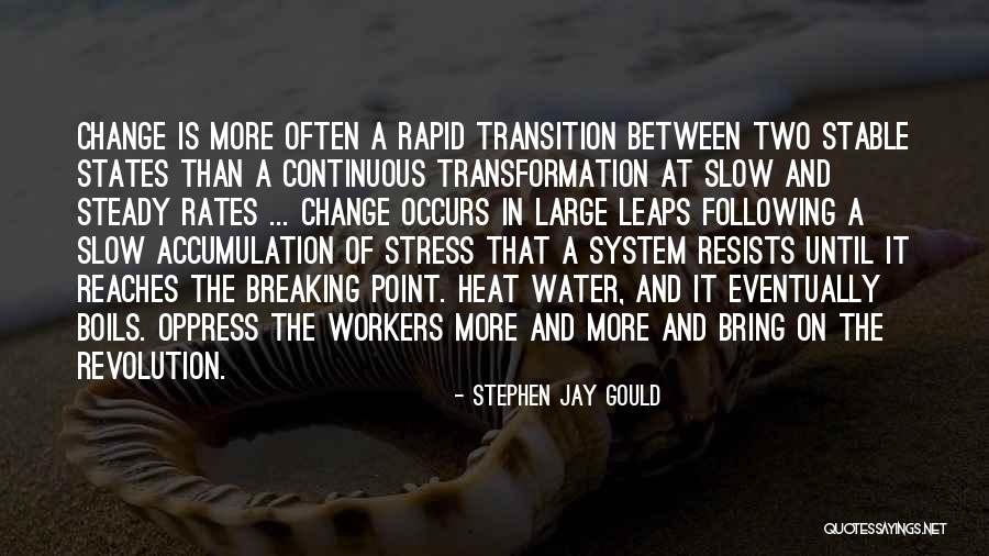 At A Breaking Point Quotes By Stephen Jay Gould