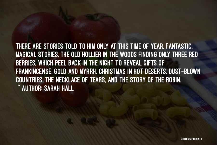 At Christmas Time Quotes By Sarah Hall