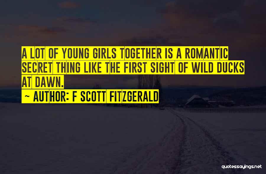 At First Sight Quotes By F Scott Fitzgerald