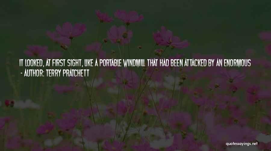 At First Sight Quotes By Terry Pratchett